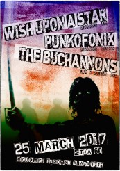 Wish Upon A Star // Punkofonix // The Buchannons